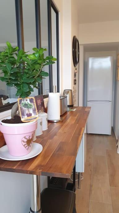 Le Doux Voyage T3, Vue Mer, Wi Fi, Parking Gratuit Toulon Buitenkant foto